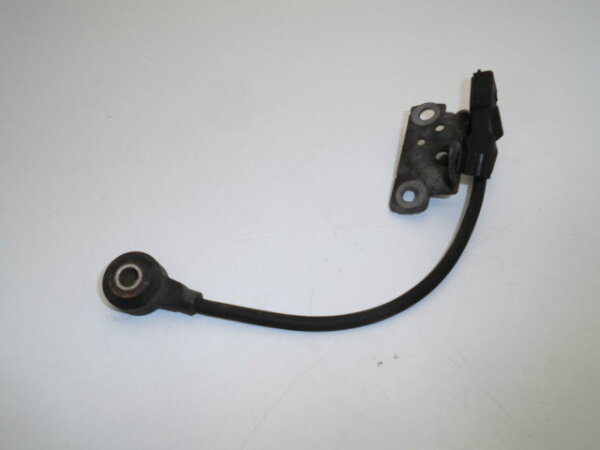 Original VW Phaeton 3D Klopfsensor Sensor 022971502