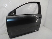Original VW Phaeton 3D Tür Autotür vorne links