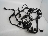 Original VW Phaeton 3D Motorkabelbaum Kabelbaum Motor AJS Kabel