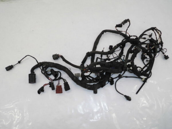 Original VW Phaeton 3D 3,0TDI V6 Motorkabelbaum Kabel Motor CEXA